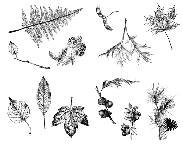 Botanical leaves silkscreen