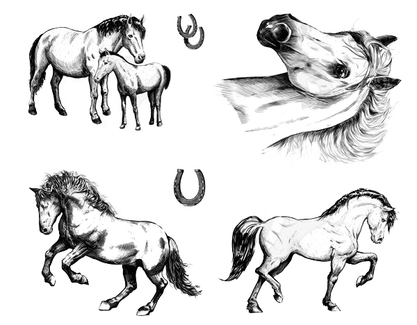 Horses silkscreen