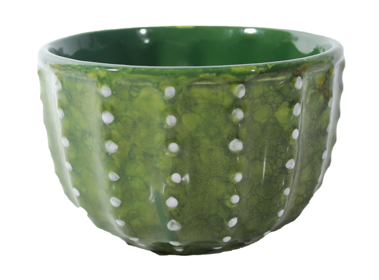 Hobby Ceramicraft Cactus Bowl Hobby Ceramicraft Cactus Bowl