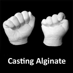 Casting Powder (Alginate) 900g bag CAST001