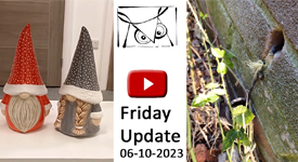 sfridayupdatevideo_youtube061023