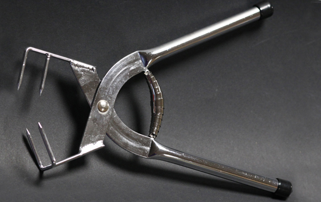 dipping tongs spring